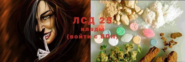стафф Каменск-Шахтинский