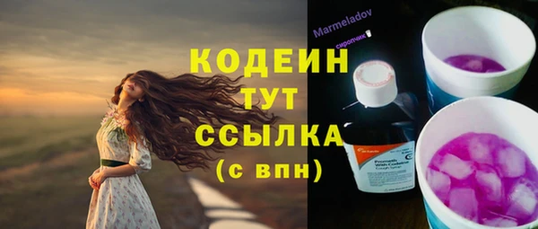 ешки Карпинск
