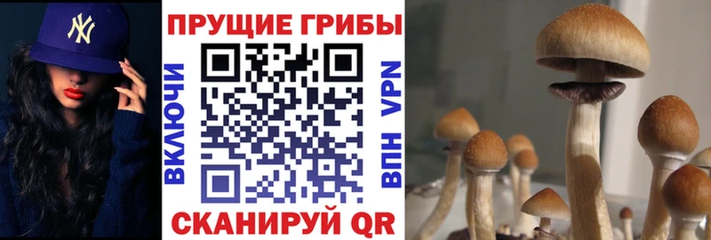 Галлюциногенные грибы MAGIC MUSHROOMS  Купить закладки  Баймак 